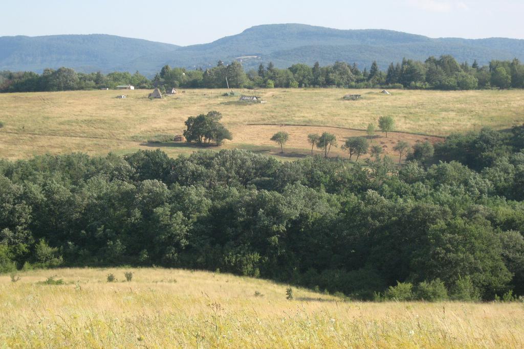 Harangvirag 36 Fahaz Βίλα Kismaros Εξωτερικό φωτογραφία